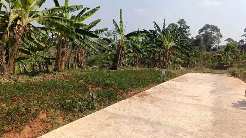 dijual tanah kandri