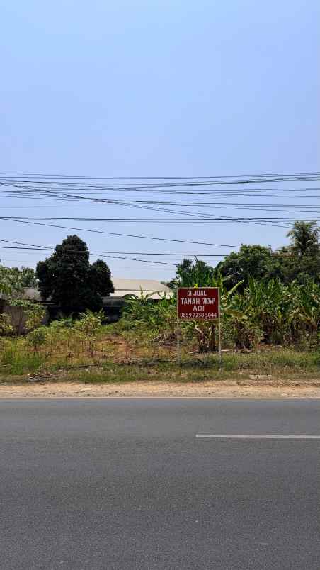 dijual tanah kebun di subang