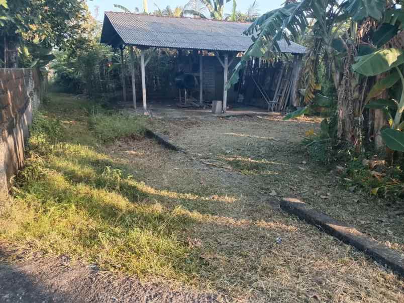dijual tanah kelating tabanan bali
