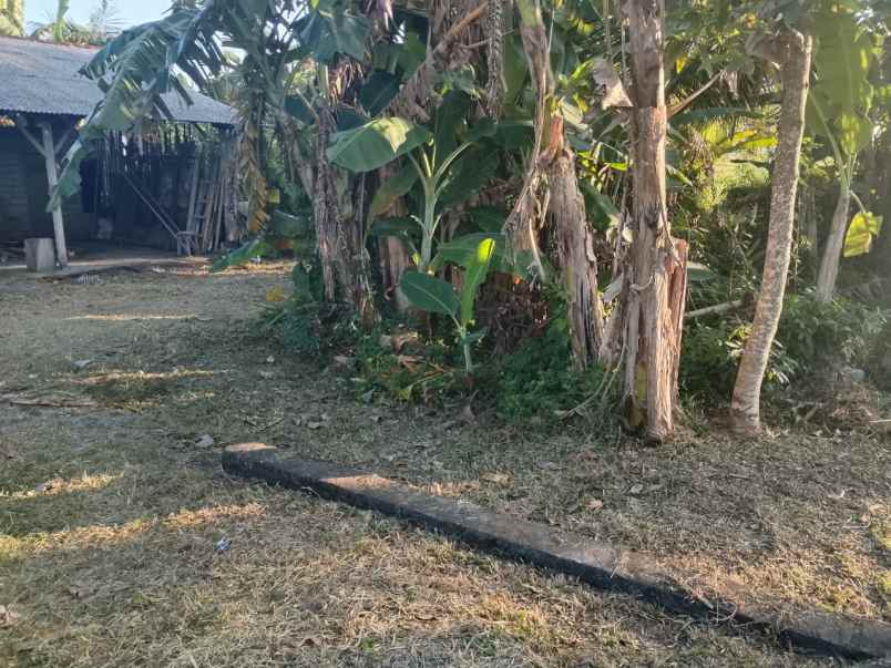 dijual tanah kelating tabanan bali