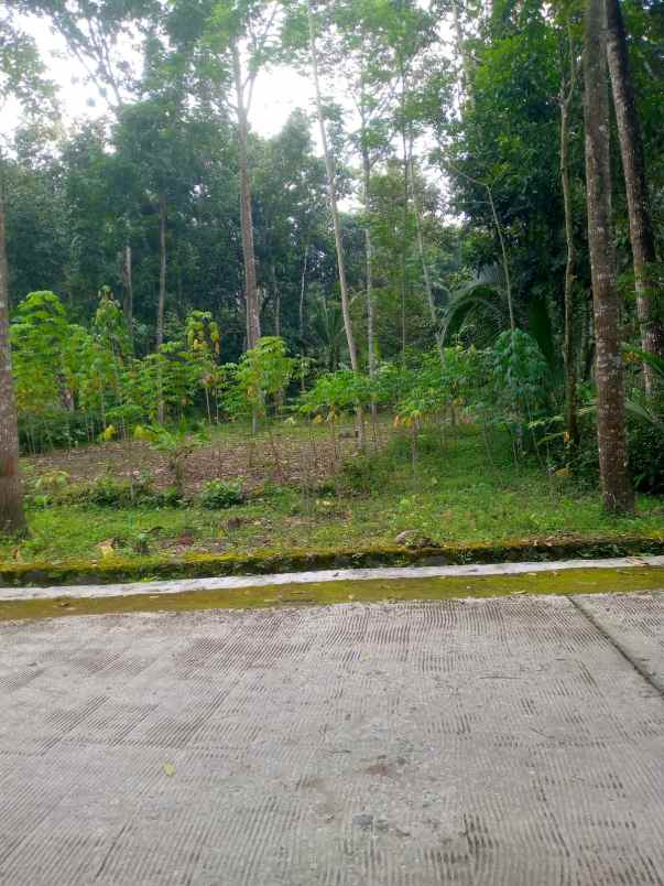 dijual tanah kemalang dekat pasar durian