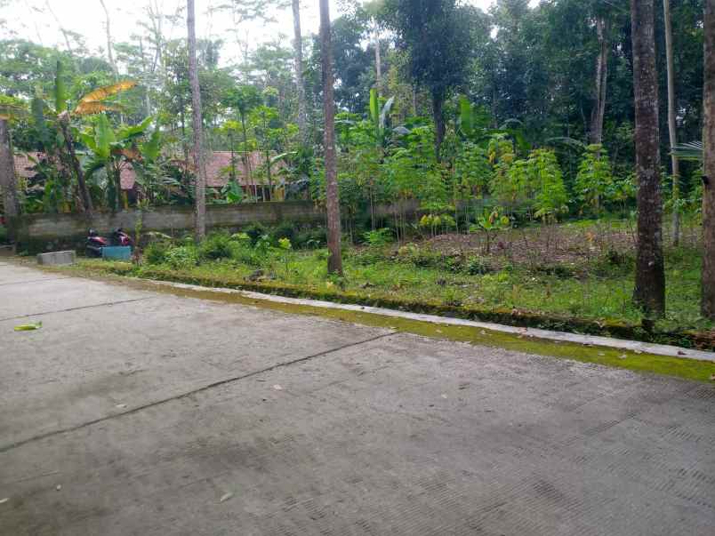 dijual tanah kemalang dekat pasar durian