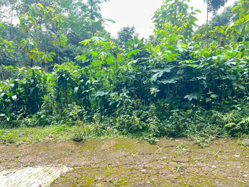 dijual tanah kemuning ngargoyoso