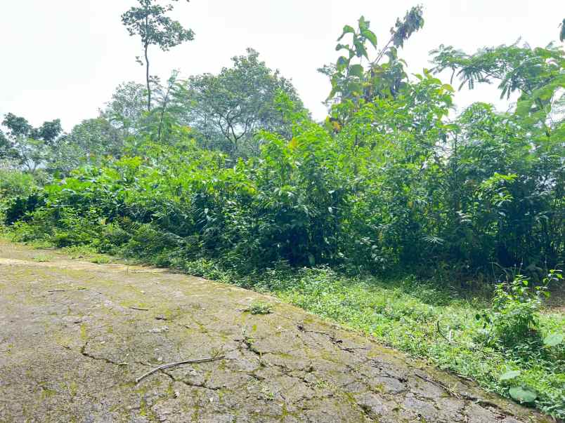 dijual tanah kemuning ngargoyoso