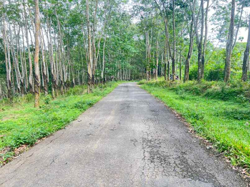 dijual tanah kemuning ngargoyoso