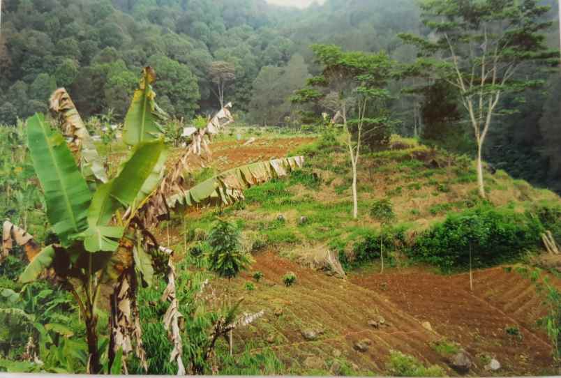 dijual tanah kp cigumentong desa