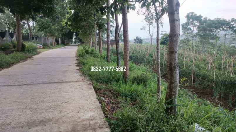 dijual tanah megamendung puncak bogor