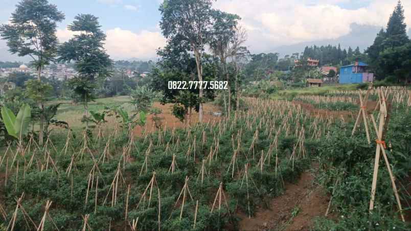 dijual tanah megamendung puncak bogor