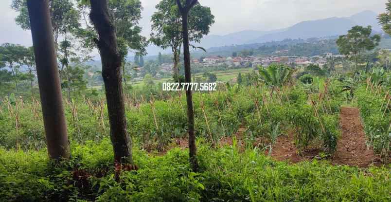 dijual tanah megamendung puncak bogor
