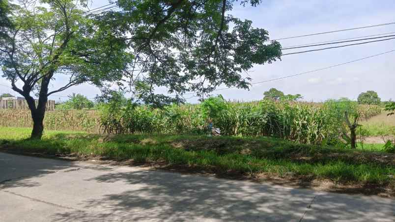 dijual tanah mranggen