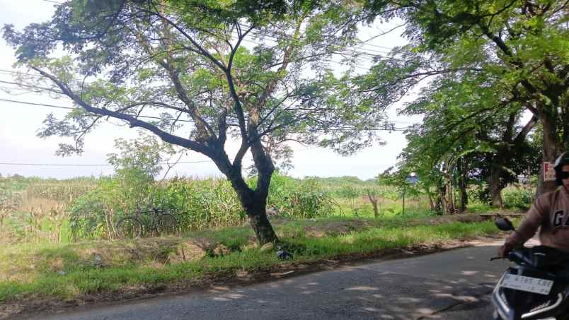 dijual tanah mranggen