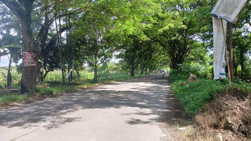 dijual tanah mranggen