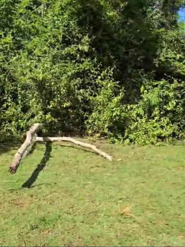 dijual tanah nusa dua