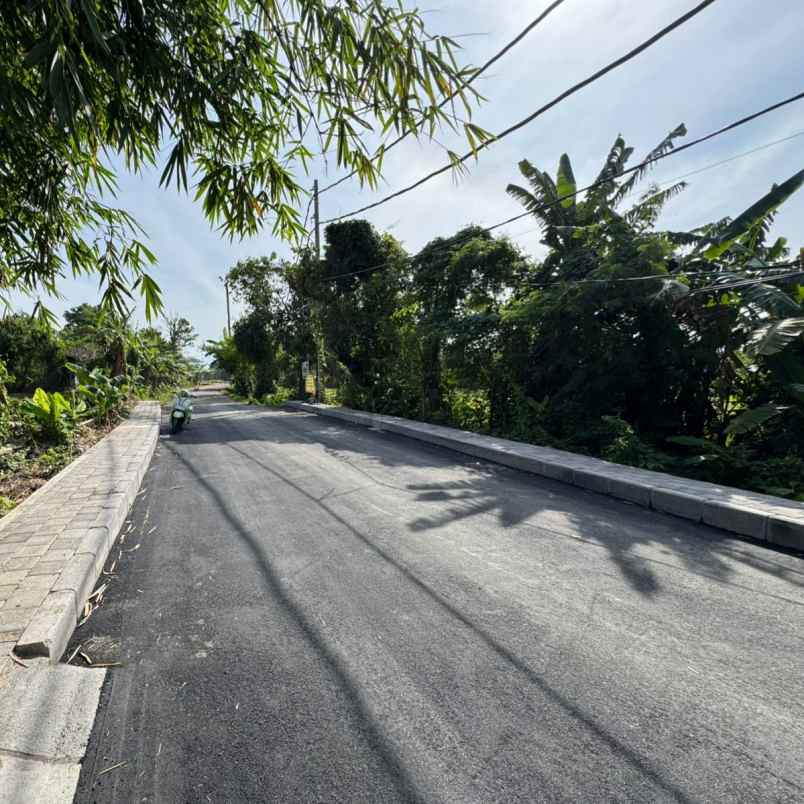 dijual tanah pedungan