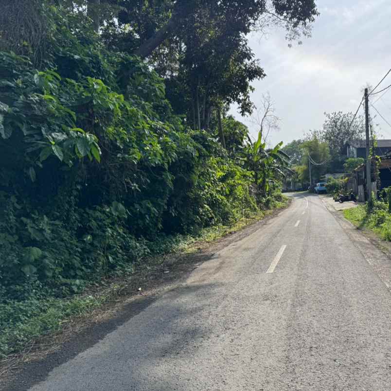 dijual tanah pedungan