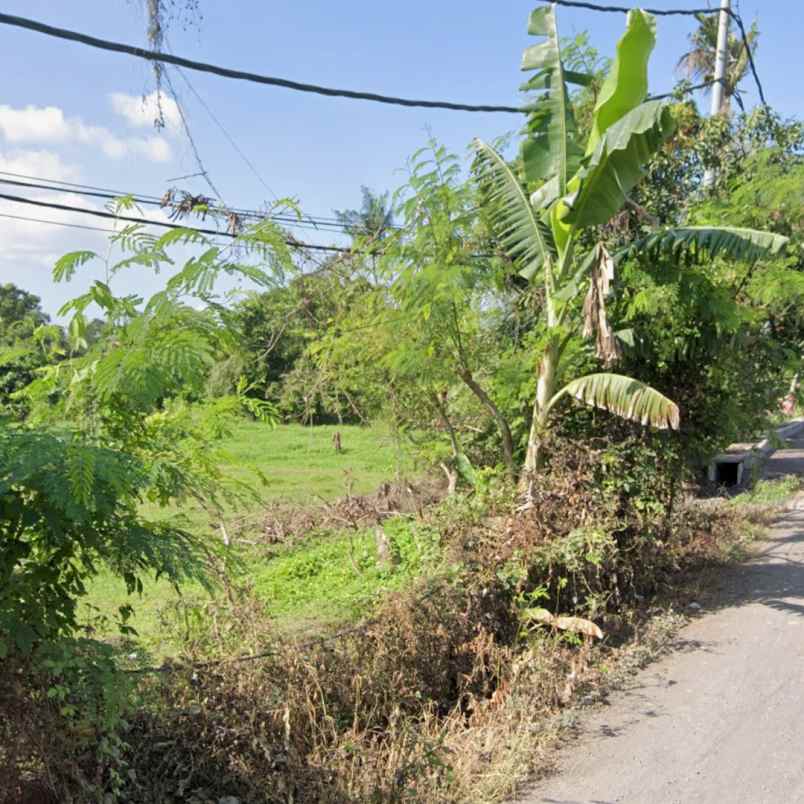 dijual tanah pedungan