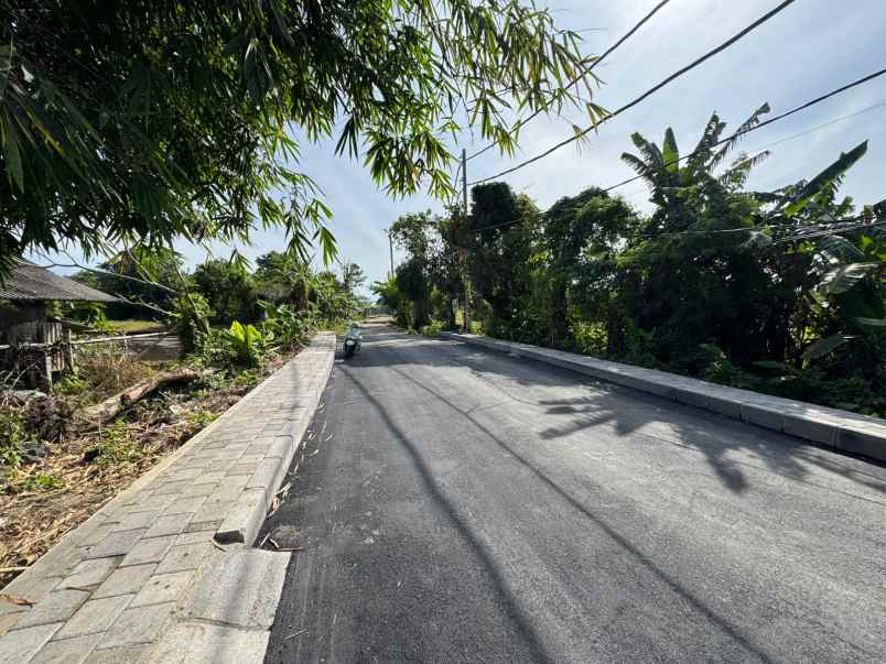 dijual tanah pedungan