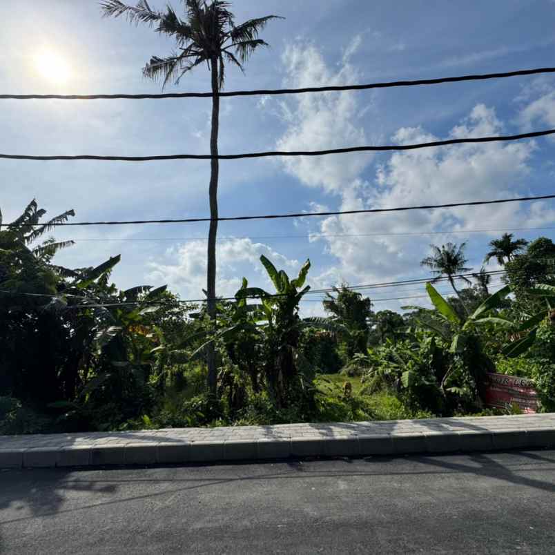 dijual tanah pedungan