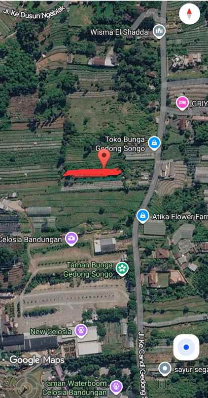 dijual tanah pekarangan cocok untuk investasi berkebun