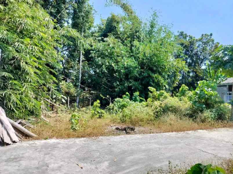 dijual tanah pemda sleman