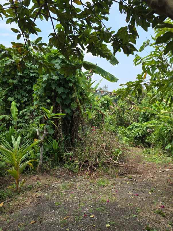 dijual tanah perum griya sekawan resudence