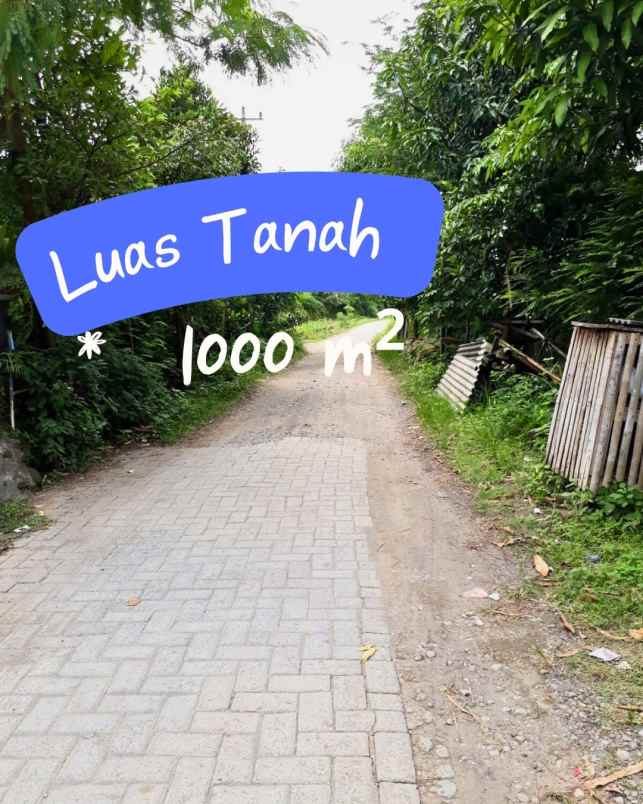 dijual tanah pucanggading