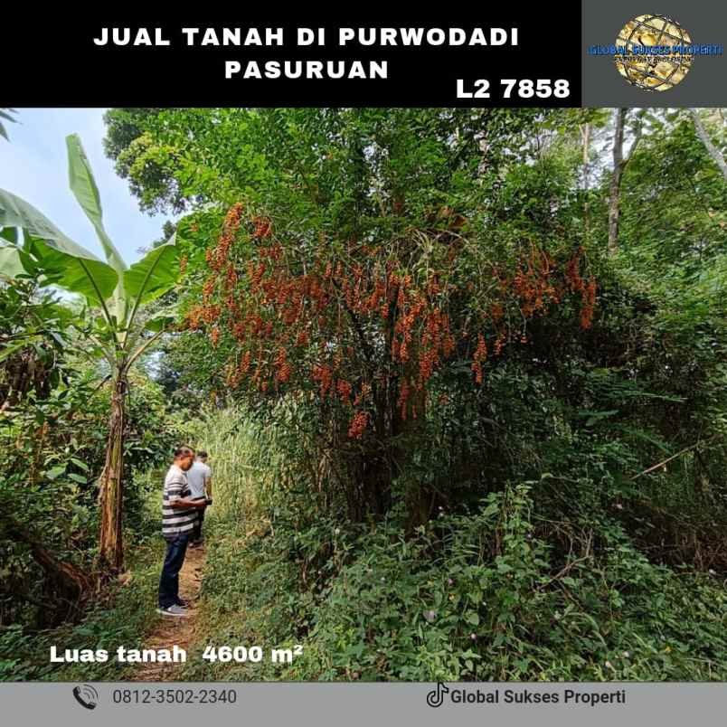 dijual tanah purwodadi