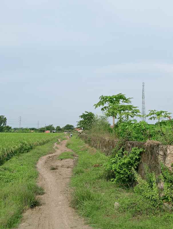dijual tanah samping jalan raya jatibarang kadipaten