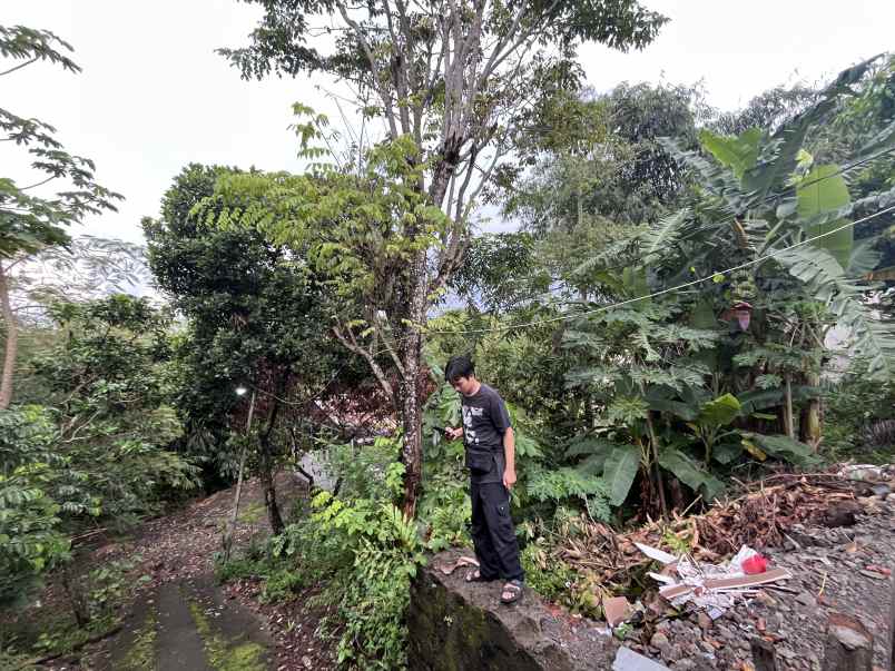 dijual tanah sendangadi kabupaten