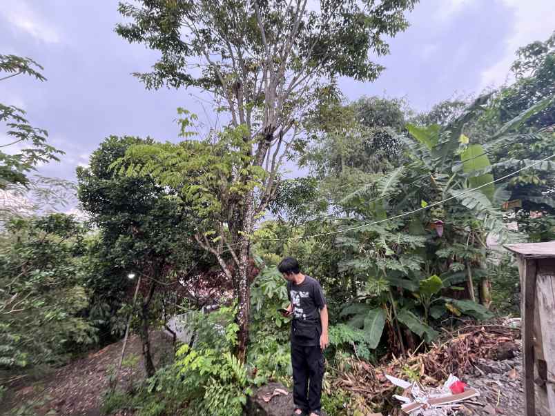 dijual tanah sendangadi kabupaten