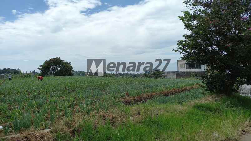 dijual tanah setiabudi regency