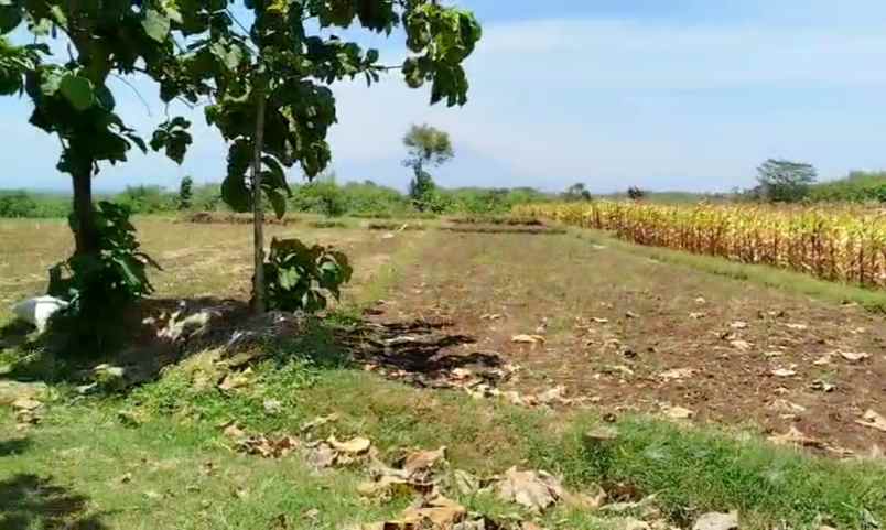 dijual tanah sragen jateng