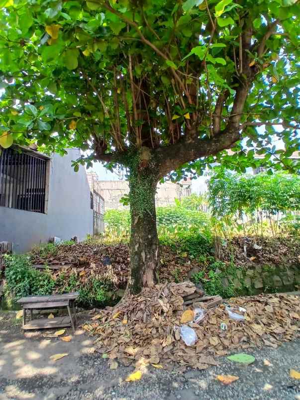 dijual tanah tanah baru