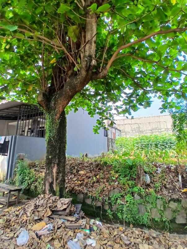 dijual tanah tanah baru depok