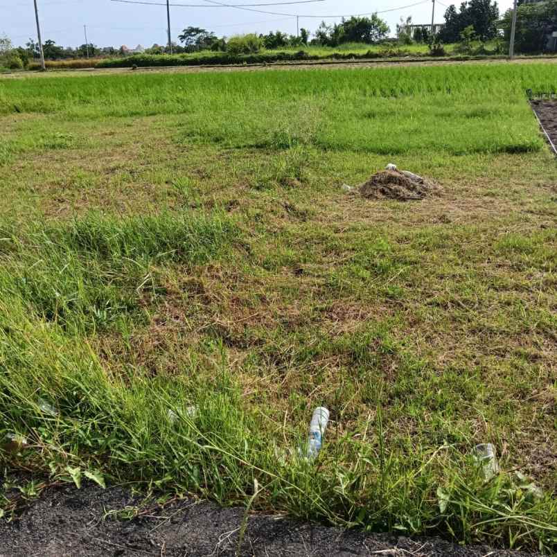 dijual tanah tanah lot