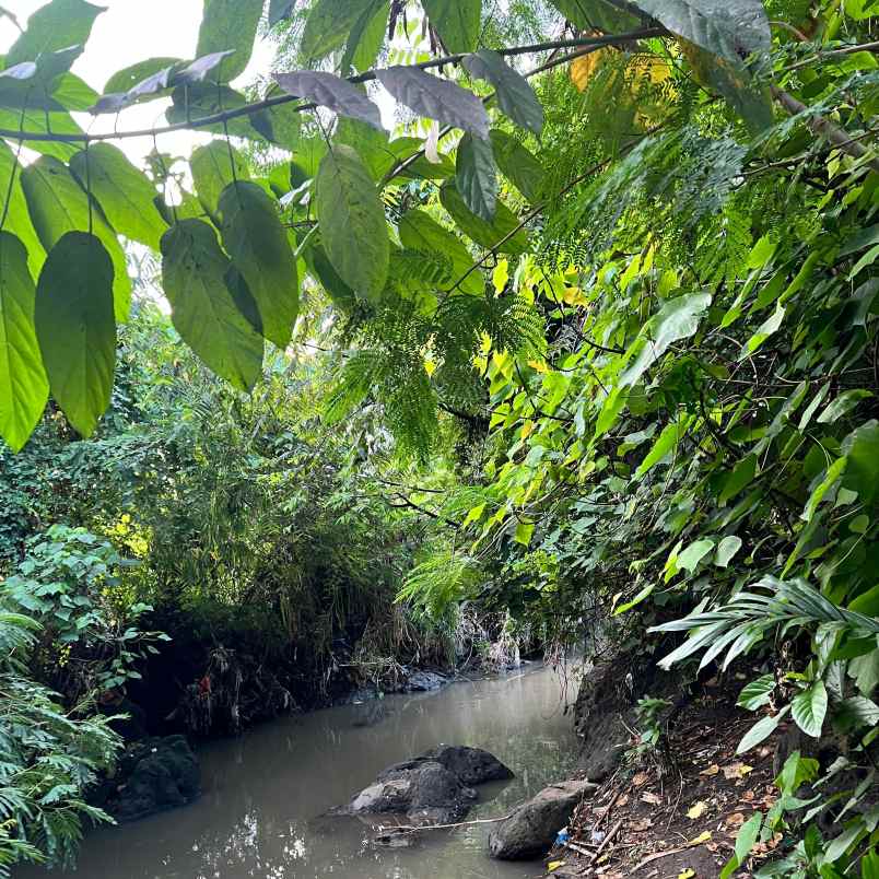 dijual tanah tibubeneng