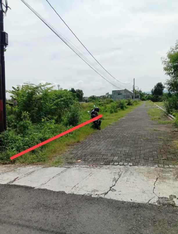 dijual tanah wiyoro