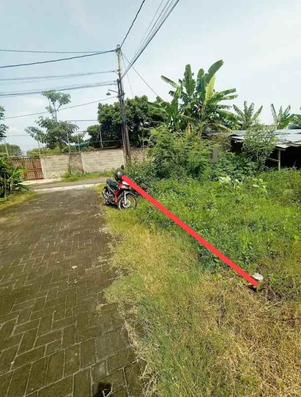 dijual tanah wiyoro