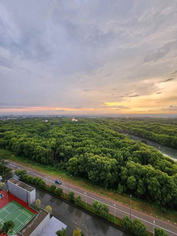 disewakan apartemen pantai indah kapuk