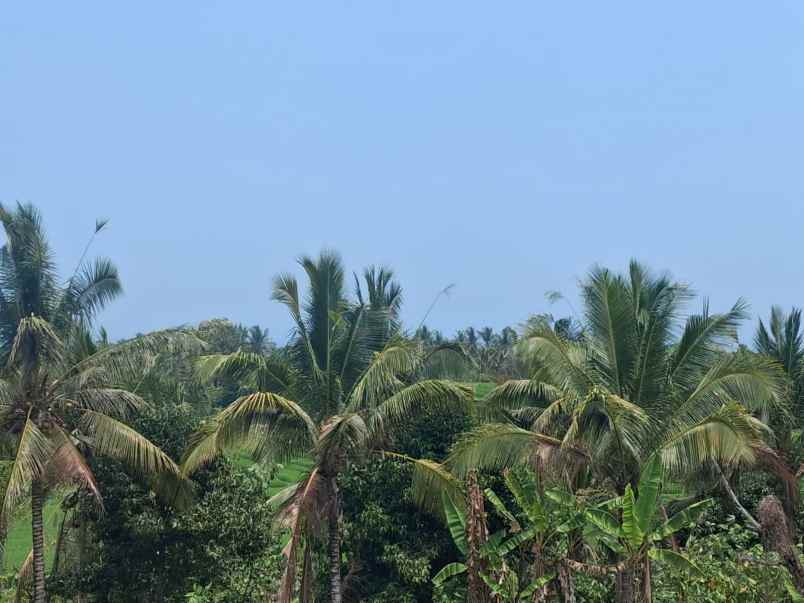disewakan murah lahan dengan view laut dan sungai