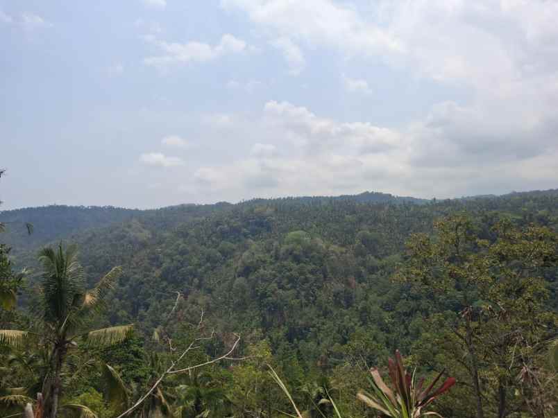 disewakan murah lahan dengan view laut dan sungai