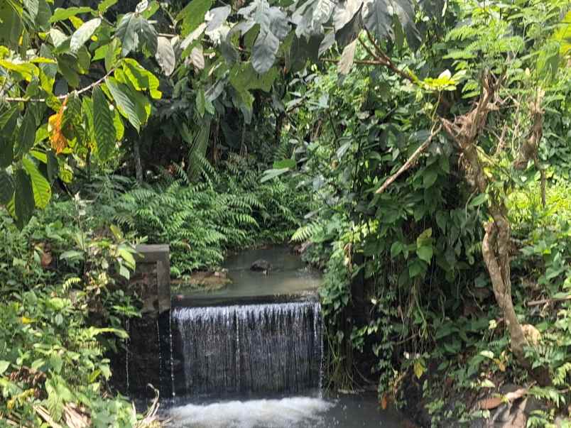 disewakan murah lahan dengan view laut dan sungai