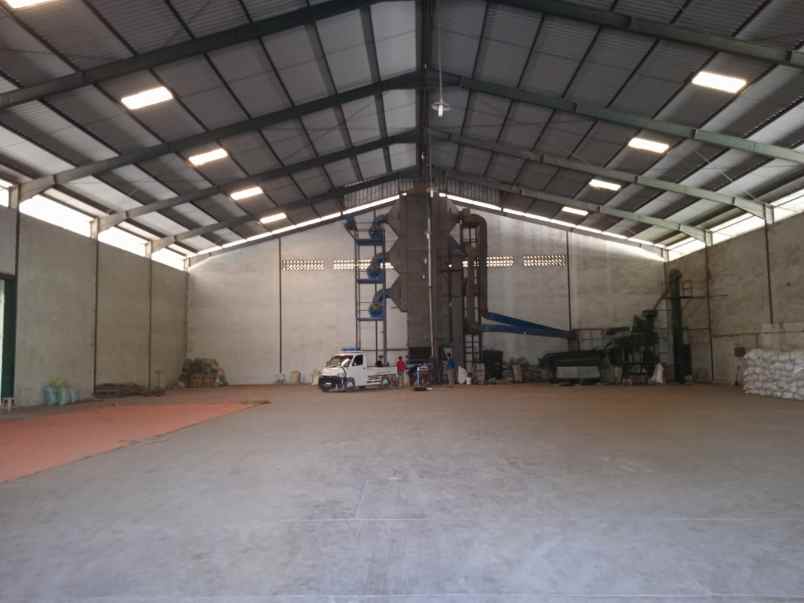 disewakan ruko gudang kantor way lunik