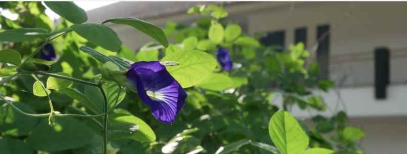 hotel berbintang di bekasi barat