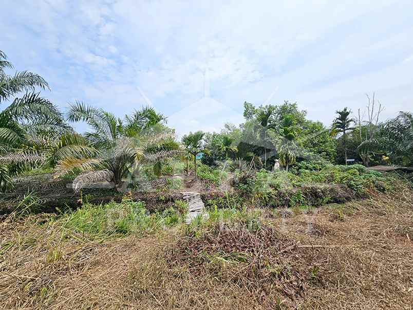 jual cepat harga sangat murah tanah cck investasi