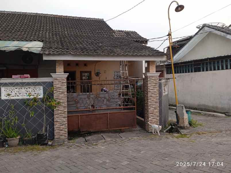 jual rumah minimalis rumah