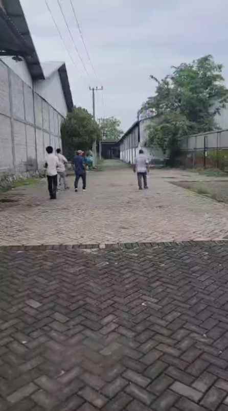 jual tanah di jatigedong kab jombang strategis