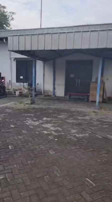 jual tanah di jatigedong kab jombang strategis