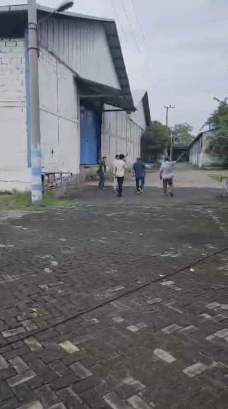 jual tanah di jatigedong kab jombang strategis