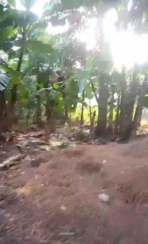 jual tanah lokasi strategis samping tol setu bekasi